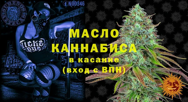амф Алексин
