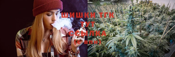 мдпв Горняк
